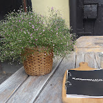 Photo n°11 de l'avis de Dr..o fait le 17/07/2018 à 13:59 sur le  Elefantenhaus à Michelstadt