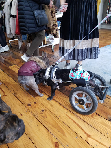 Shoe Store «Tops For Shoes», reviews and photos, 27 N Lexington Ave, Asheville, NC 28801, USA