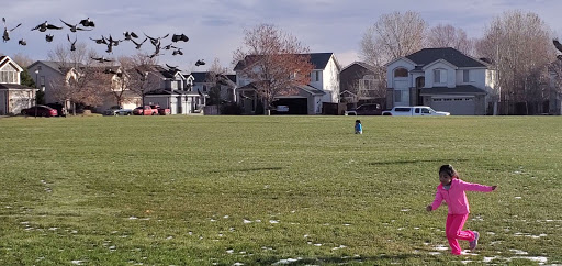 Park «Woodglen Meadows Park», reviews and photos, 12602 Bellaire St, Thornton, CO 80241, USA