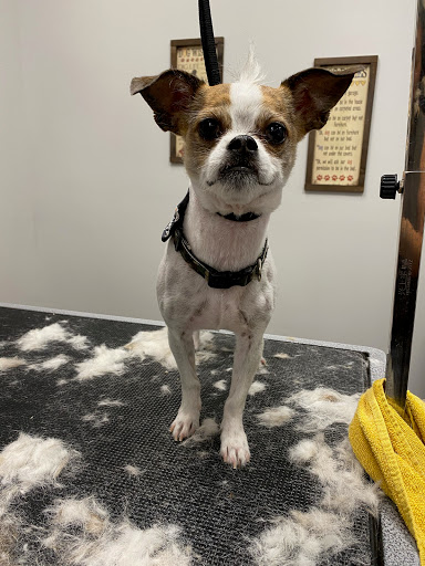 Pet Store «Healthy Pets Mountain West», reviews and photos, 2352 Fort Union Blvd, Cottonwood Heights, UT 84121, USA