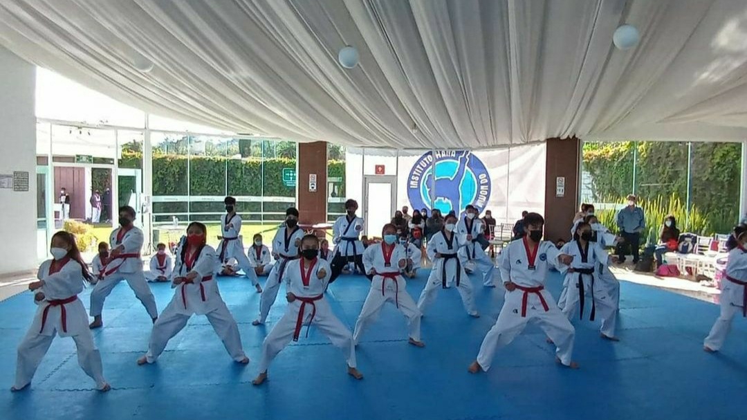 Taekwondo Apizaco Instituto hana Apizaco gimnasio artes marciales