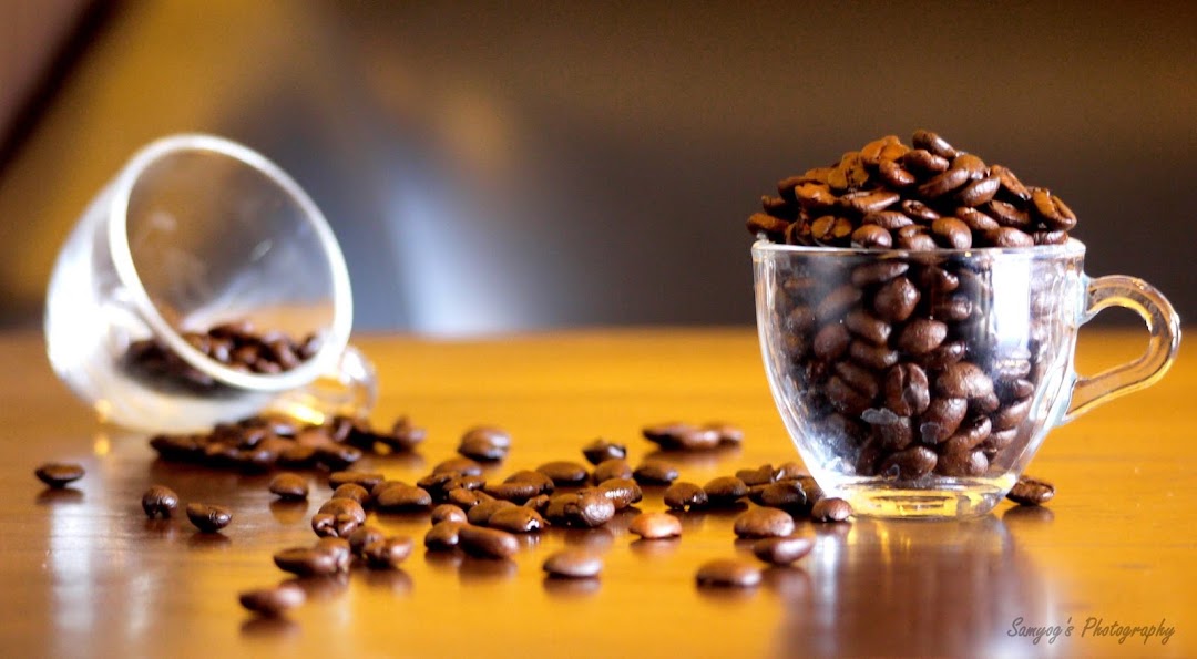 MAGIC BEANS