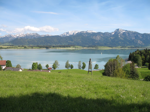 Tierschutzverein Füssen und Umgebung e.V. unter Rieden am Forggensee, 