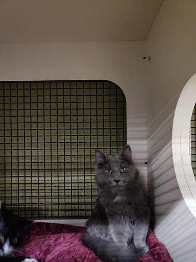 Pet Supply Store «Petco Animal Supplies», reviews and photos, 3637 2700 W, West Valley City, UT 84119, USA