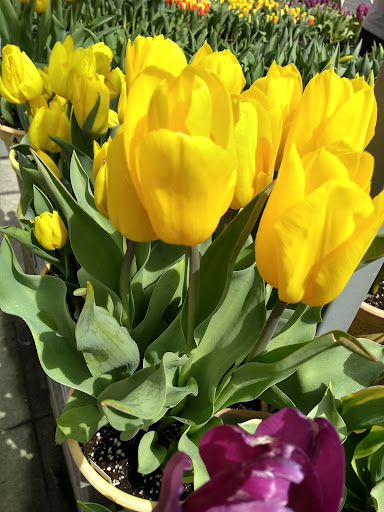 Home Improvement Store «The Home Depot», reviews and photos, 4095 US-1, Monmouth Junction, NJ 08852, USA