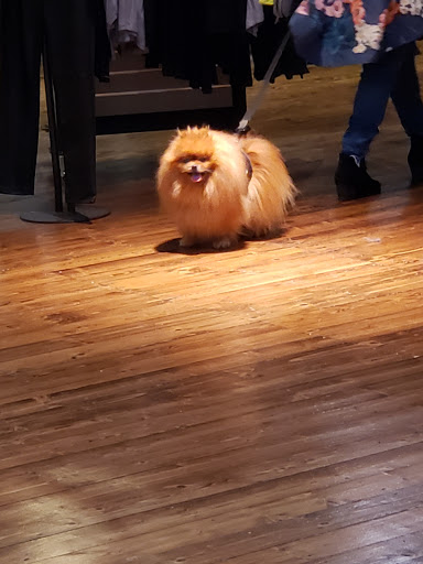 Harley-Davidson Dealer «Dudley Perkins Co. Harley-Davidson & Buell», reviews and photos, 333 Corey Way, South San Francisco, CA 94080, USA