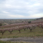 Photo n°6 de l'avis de Mirko. fait le 11/03/2019 à 12:02 sur le  Ristorante Degli Ulivi à San Lorenzo In Scanno