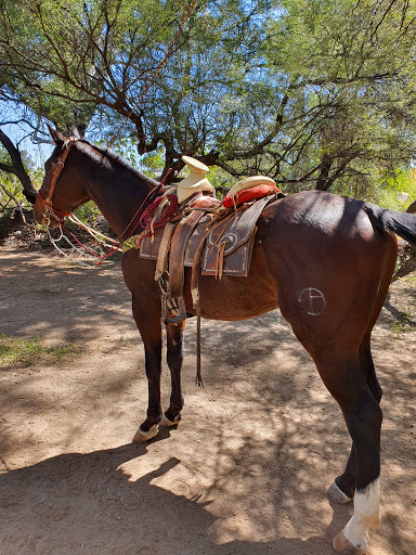 Caballerizas la 30