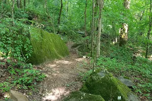 Ritchie Hollow Trail image