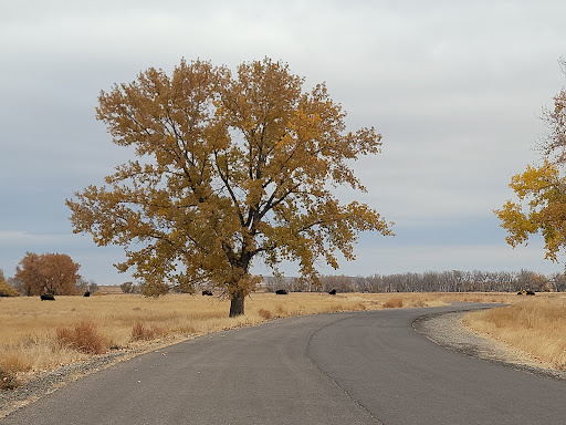 Wildlife Refuge «Rocky Mountain Arsenal National Wildlife Refuge», reviews and photos