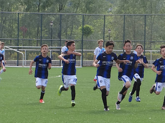 Ünye Futbol Kulübü