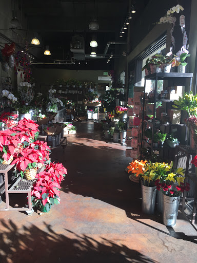 Artificial flower shops in San Diego
