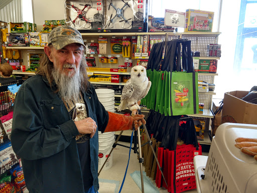 Home Improvement Store «Tractor Supply Co.», reviews and photos, 11181 Maple Ridge Rd, Medina, NY 14103, USA