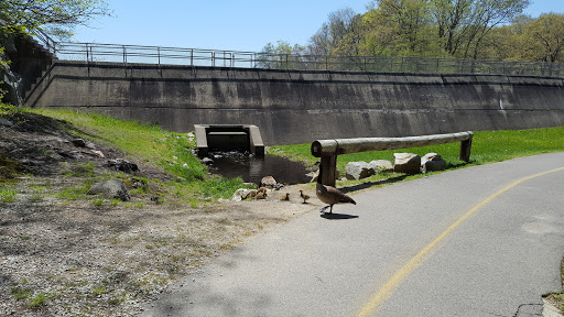 Park «Pond Meadow Park», reviews and photos, 470 Liberty St, Braintree, MA 02184, USA