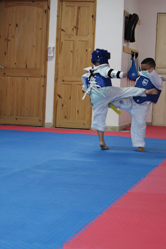 Master of taekwondo Academy