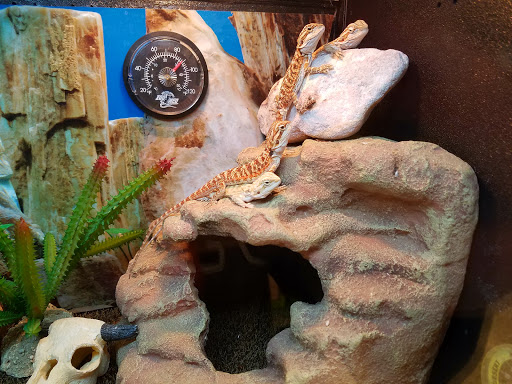 Pet Supply Store «PetSmart», reviews and photos, 1921 Gulf Fwy S, Dickinson, TX 77539, USA