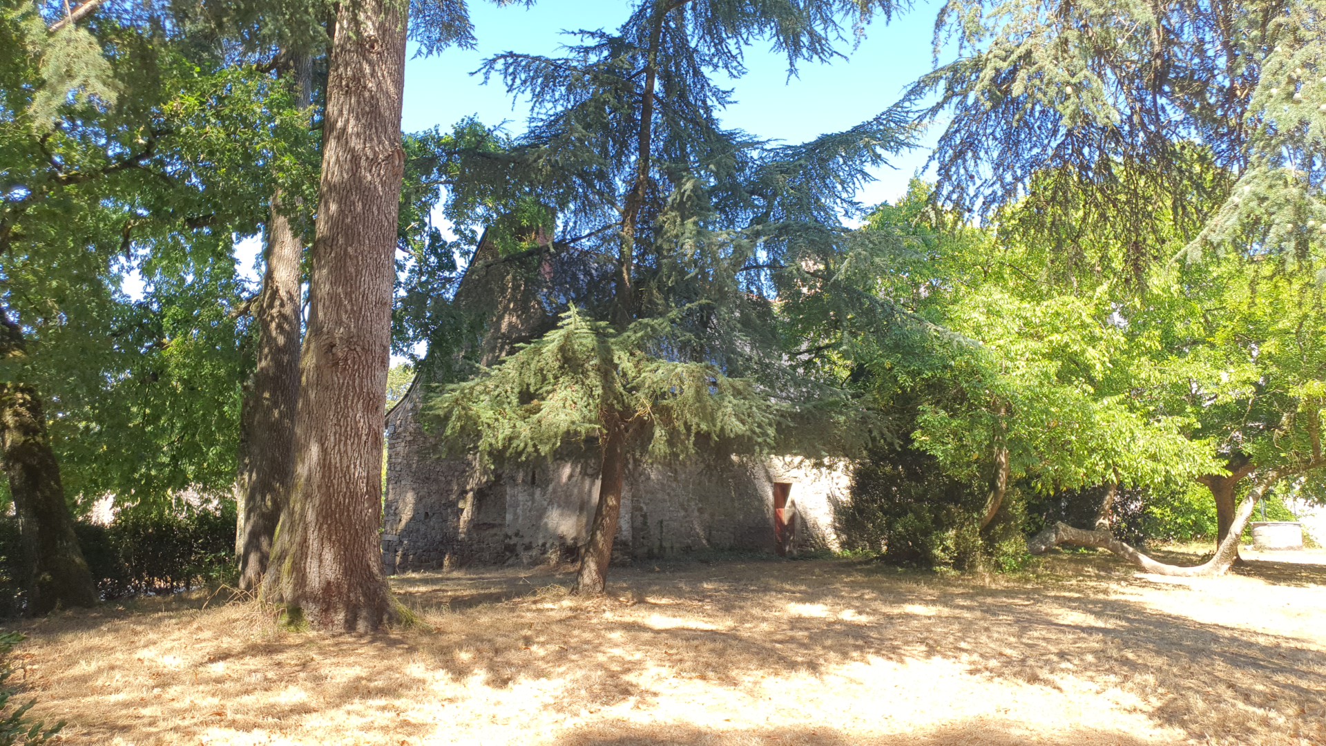 Photo n° 4 de l'avis de Constantin-Adrian.r fait le 10/08/2022 à 10:28