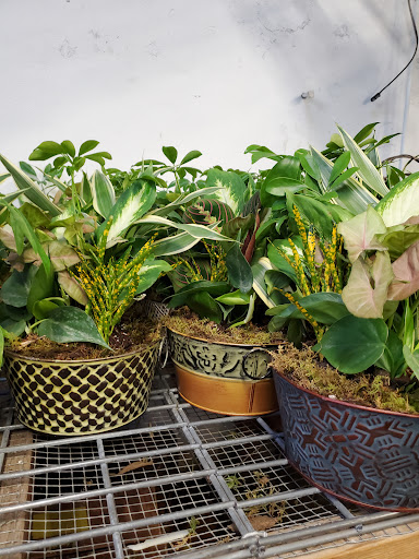 Florist «Sieck-Wright Floral Products», reviews and photos, 231 Monmouth St, Hightstown, NJ 08520, USA