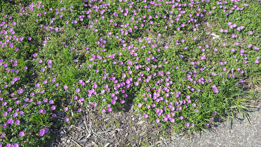 Park «Huset Park», reviews and photos, 3965 Jefferson St NE, Columbia Heights, MN 55421, USA