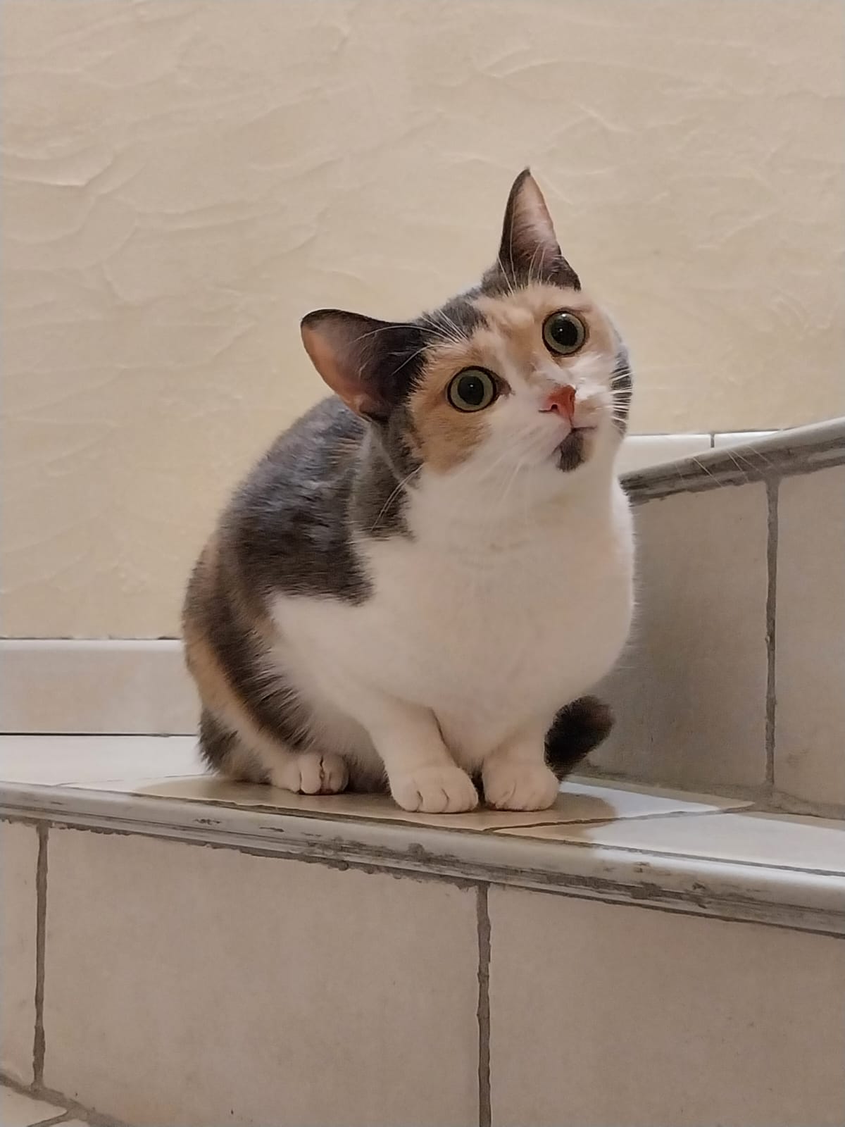 Photo n° 1 de l'avis de Deydey. fait le 28/11/2023 à 13:37