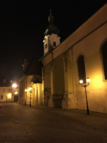 Győr Diocesan Treasury and Library and Lapidary - Könyvtár