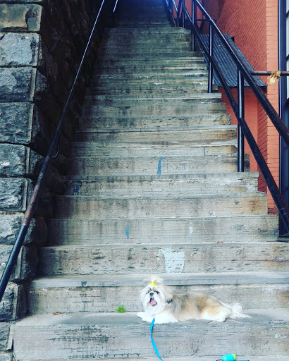 Tourist Attraction «