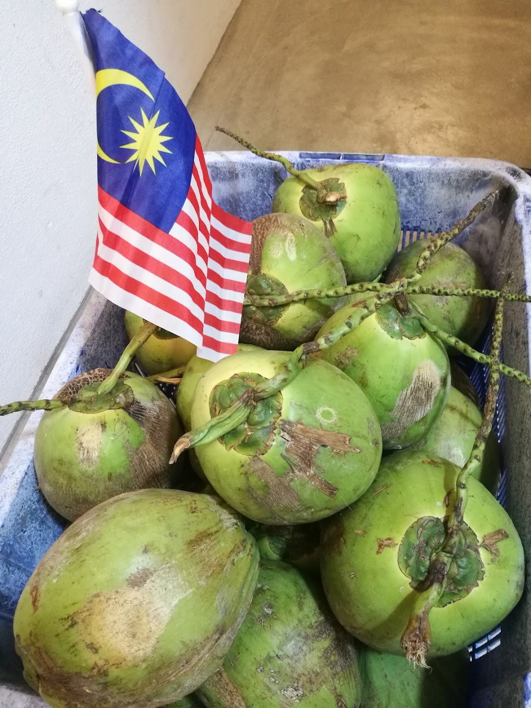 GRABCOCO.COM Penang Fresh Coconut Water Delivery. & Nationwide delivery via LAZADA shipping. Kelapa Bakar Pulau Pinang
