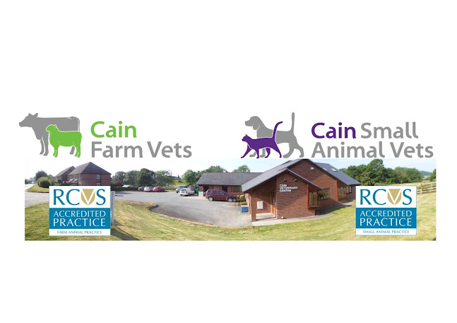 Comments and reviews of Cain Veterinary Centre