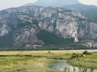 Squamish Spit & Estuary