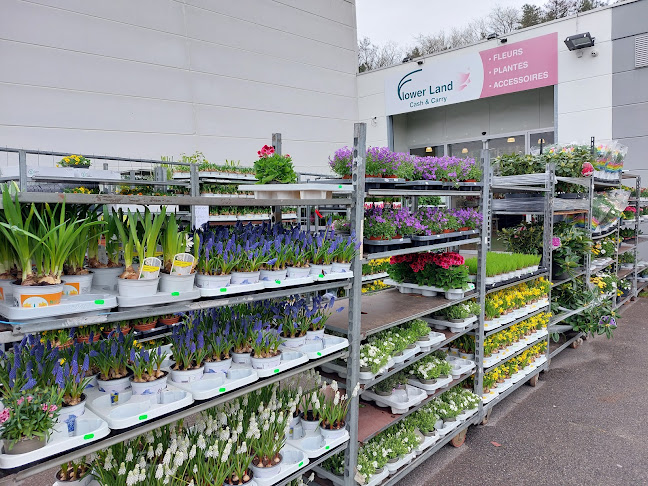 Beoordelingen van Flower Land in Waver - Bloemist