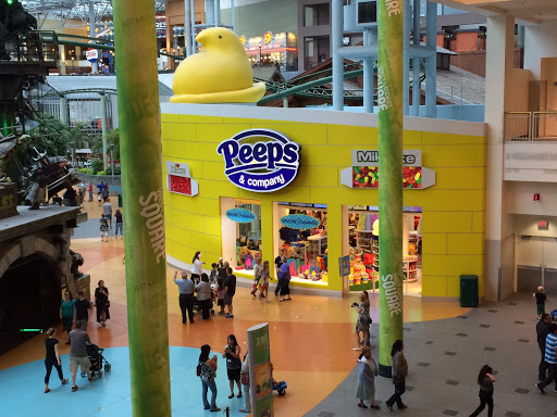 Shopping Mall «Mall of America», reviews and photos, 60 E Broadway, Bloomington, MN 55425, USA