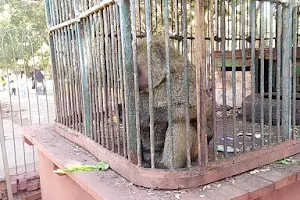 Zagazig Zoo image