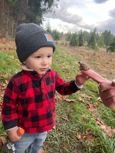 Winery «Stringtown Cellars», reviews and photos, 39610 Eatonville Cutoff Rd E, Eatonville, WA 98328, USA