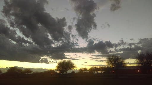 Home Builder «Sun City Anthem at Merrill Ranch by Del Webb», reviews and photos