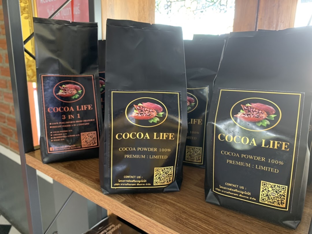 ไร่โก้โก้ CocoaLand Chiang Rai Thailand (โครงการส่งเสริมปลูกโกโก้ บริษัทผางามกิจเกษตรเชียงราย )