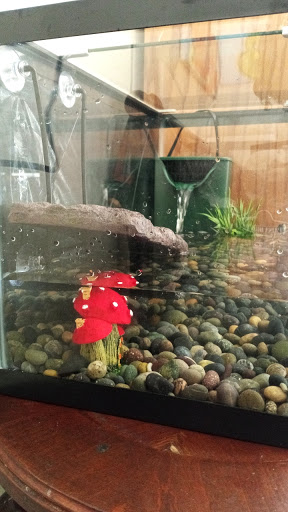 Pet Store «Planet Pet Shop», reviews and photos, 6624 Eastern Ave, Bell Gardens, CA 90201, USA