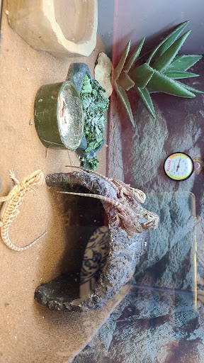 Pet Supply Store «Petco Animal Supplies», reviews and photos, 1951 N Military Trl c, West Palm Beach, FL 33409, USA