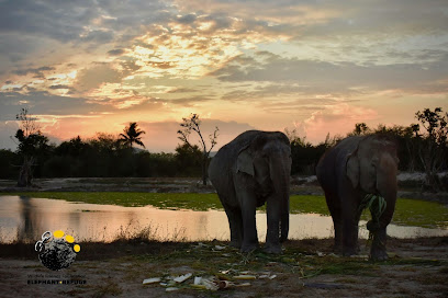 Thai Elephant Refuge