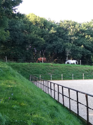Écurie active Les Crins de Gaïa - pension cheval à Plogastel-Saint-Germain