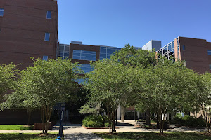 College of Public Health and Health Professions