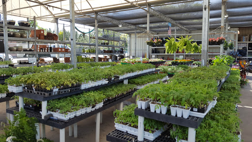 Appliance Store «Stine Lumber», reviews and photos, 1335 N Pine St, DeRidder, LA 70634, USA