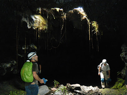 Tunnels de lave Ile de la Réunion Sainte Rose