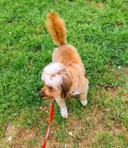 Clínica Veterinaria Faunatura en Castellón de la Plana