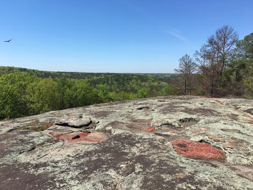 State Park «Panola Mountain State Park», reviews and photos, 2620 GA-155 N, Stockbridge, GA 30281, USA