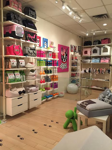 Pet Supply Store «Woof Woof Puppies & Boutique», reviews and photos, 29555 Northwestern Hwy, Southfield, MI 48034, USA