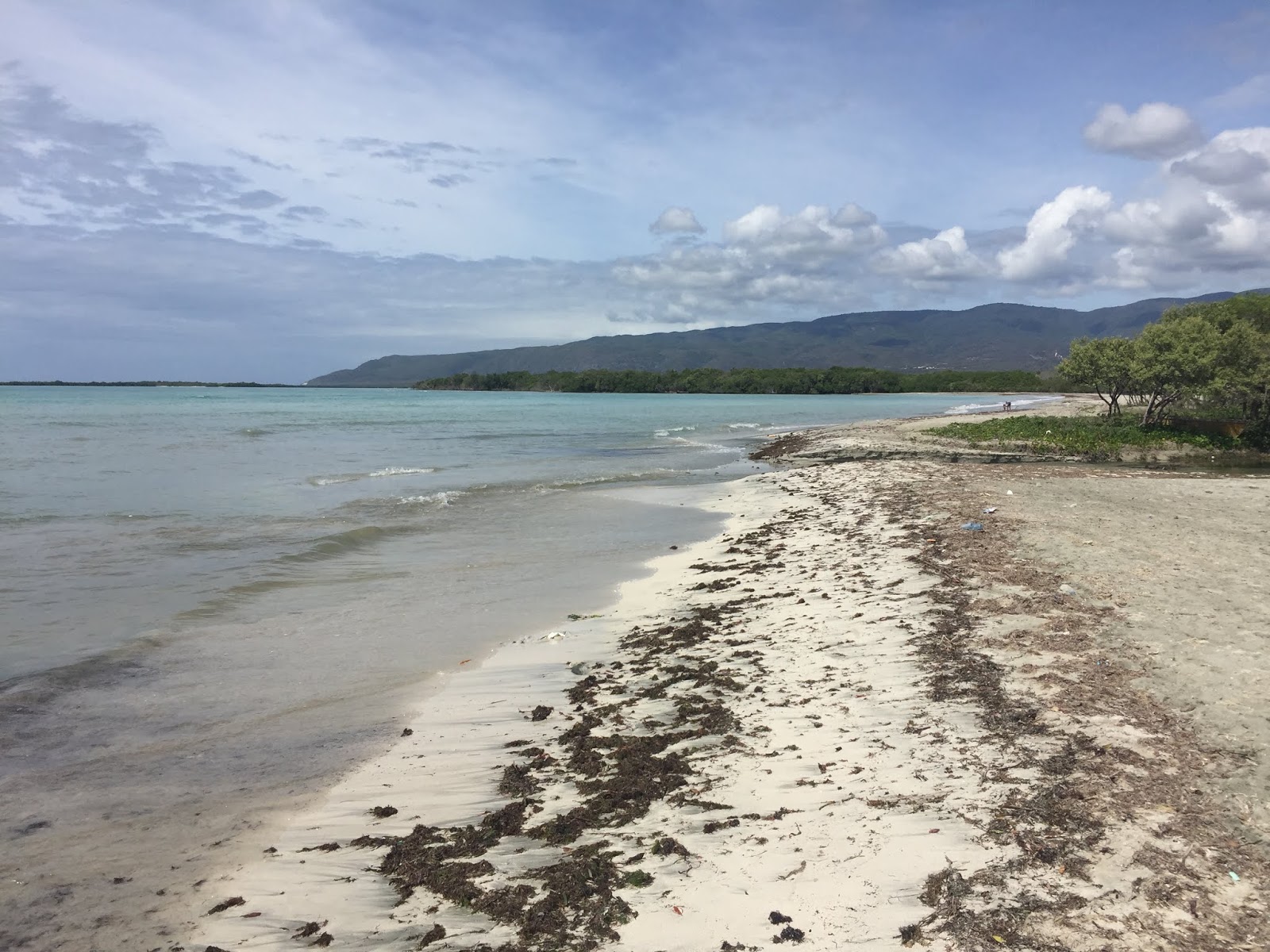 Photo de Los Negros beach avec un niveau de propreté de partiellement propre