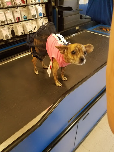 Pet Supply Store «PetSmart», reviews and photos, 33963 Doheny Park Rd, San Juan Capistrano, CA 92675, USA