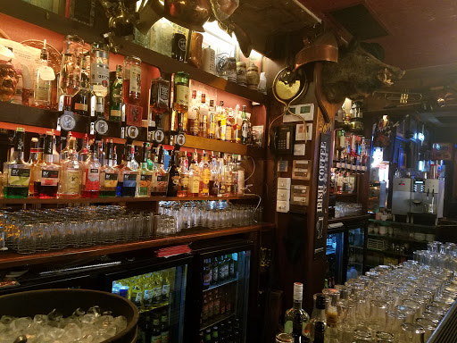 Drinking places in Dublin