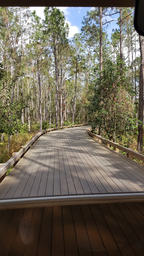 Golf Course «Tranquilo Golf Club at Four Seasons Resort Orlando», reviews and photos, 3451 Golf View Dr, Lake Buena Vista, FL 32830, USA