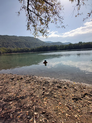GAEC du Grésivaudan à Gières